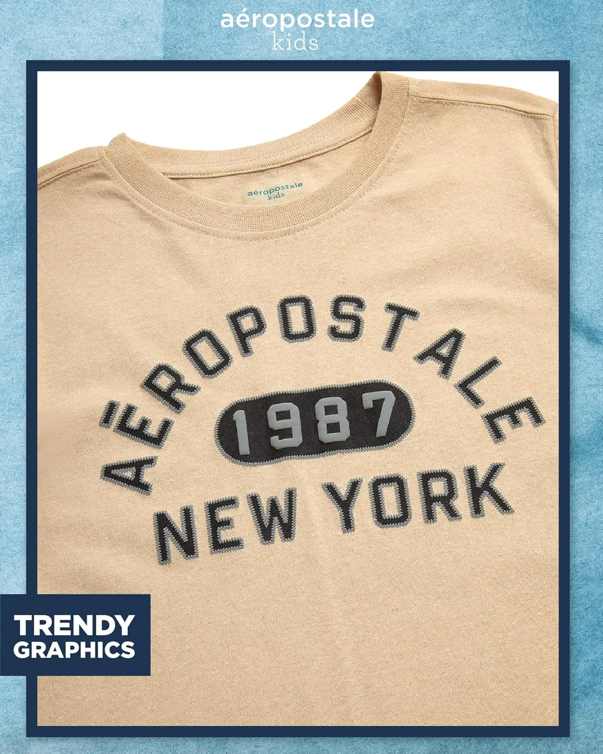 AEROPOSTALE Boys Graphic Tees - Crewneck Pullover Short Sleeve Shirt Casual Tops Kids Youth Graphic Tee for Boys (Size: 8-16)