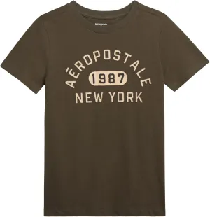 AEROPOSTALE Boys Graphic Tees - Crewneck Pullover Short Sleeve Shirt Casual Tops Kids Youth Graphic Tee for Boys (Size: 8-16)