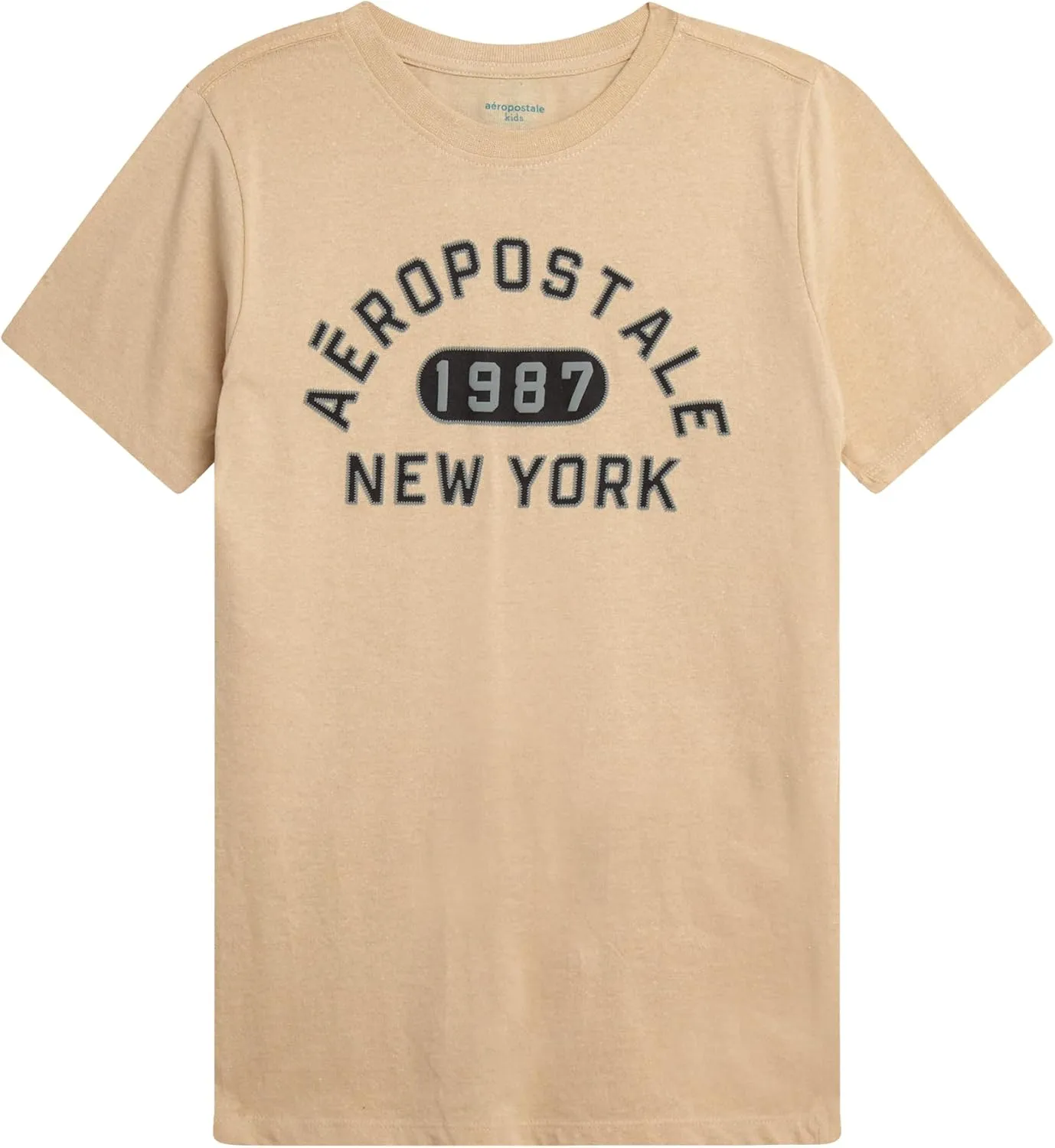 AEROPOSTALE Boys Graphic Tees - Crewneck Pullover Short Sleeve Shirt Casual Tops Kids Youth Graphic Tee for Boys (Size: 8-16)