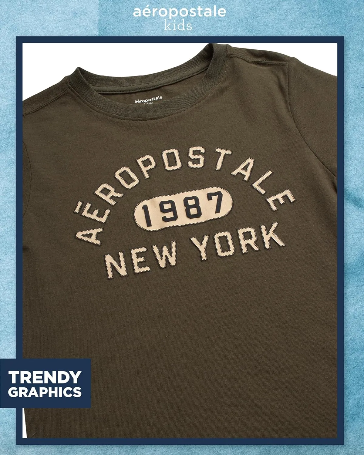AEROPOSTALE Boys Graphic Tees - Crewneck Pullover Short Sleeve Shirt Casual Tops Kids Youth Graphic Tee for Boys (Size: 8-16)