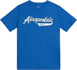 AEROPOSTALE Boys Graphic Tees - Crewneck Pullover Short Sleeve Shirt Casual Tops Kids Youth Graphic Tee for Boys (Size: 8-16)