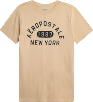 AEROPOSTALE Boys Graphic Tees - Crewneck Pullover Short Sleeve Shirt Casual Tops Kids Youth Graphic Tee for Boys (Size: 8-16)