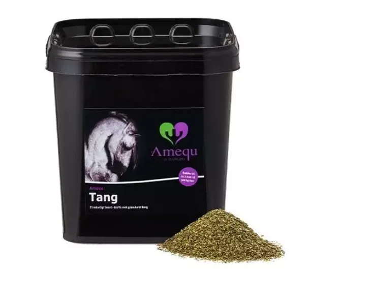 Amequ Tang