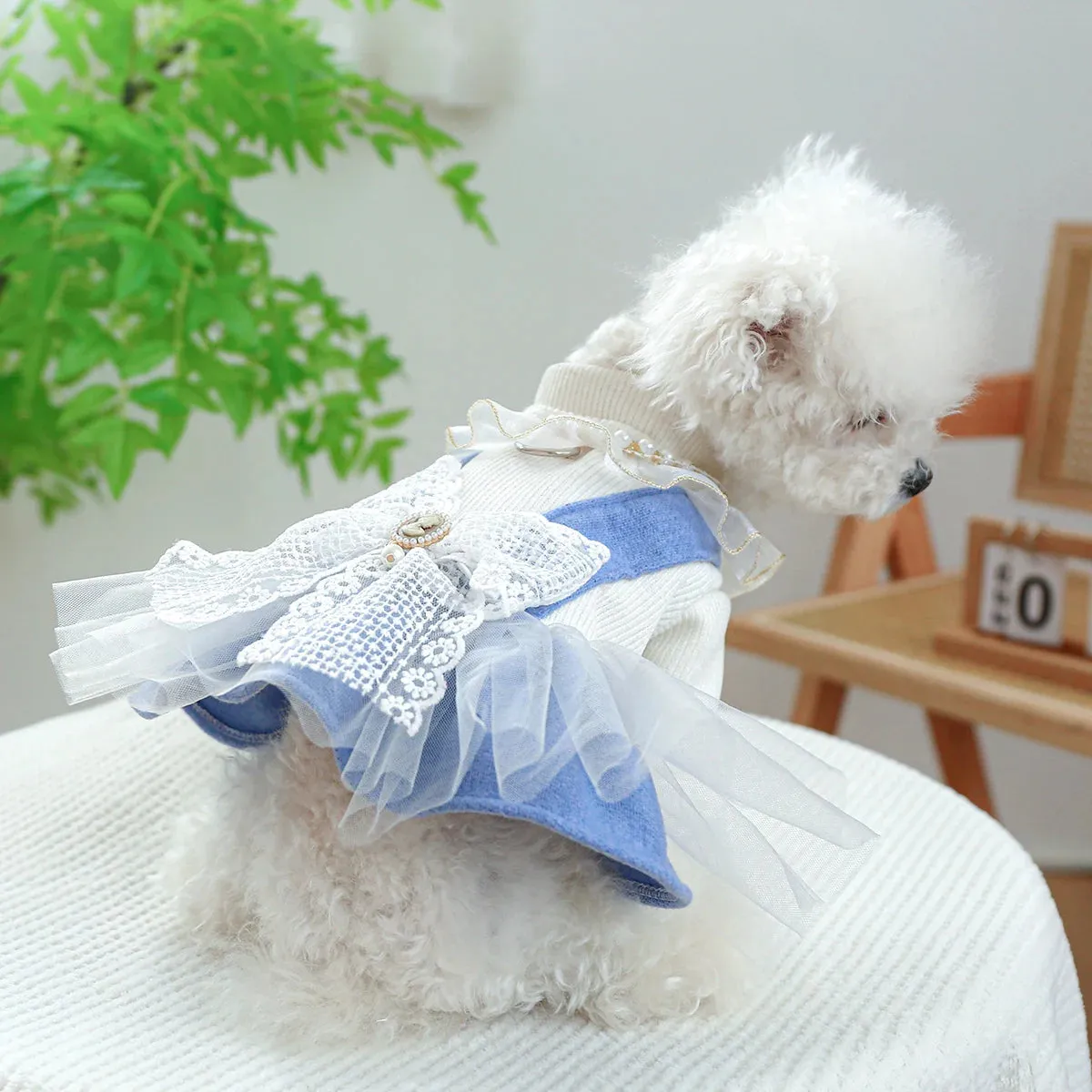 Blue Bow Elegance: Lace Princess Dress with Drawstring Buckle for Dogs - Stylish Spring and Autumn Fashion